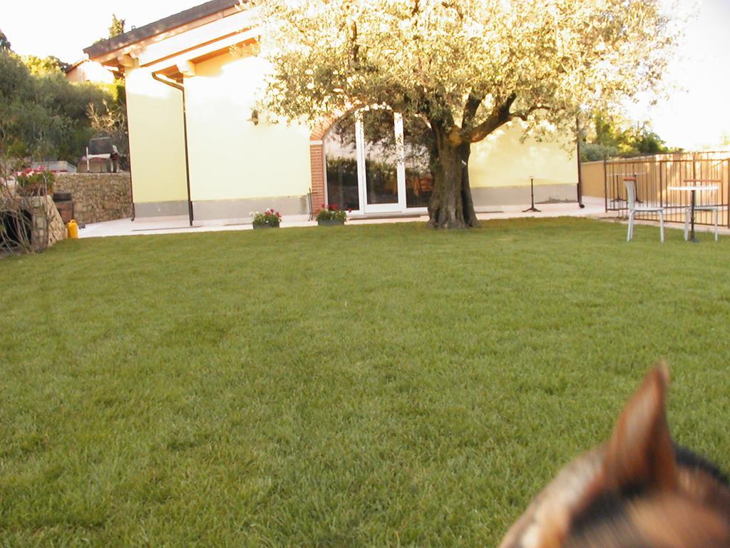 Bed and breakfast Al Cristo SantʼAmbrogio di Valpolicella